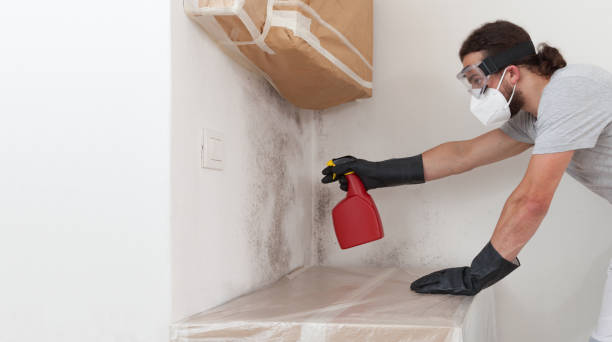 Professional Mold Inspection technician working in Dolphin, VA